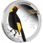 2013澳洲雀鳥園丁鳥精制銀幣