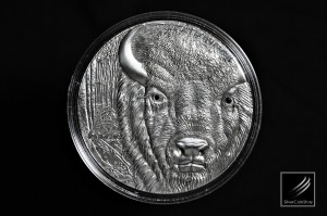 歐洲野牛仿古銀幣