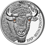 白俄羅斯野生動物系列: 野牛精鑄銀幣套裝 - 白俄羅斯 - 2012 - 62.2g