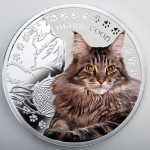 03_Maine_Coon_reverse
