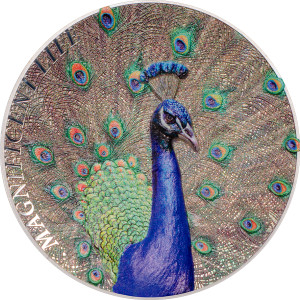 27469_Magnificent Life 2015 - Peacock ag_r