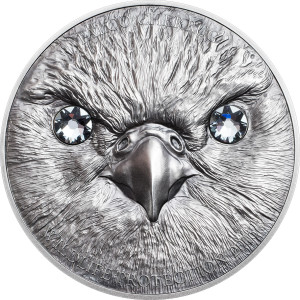 27563_Wildlife Protection 2016 - Falco cherrug Ag_r