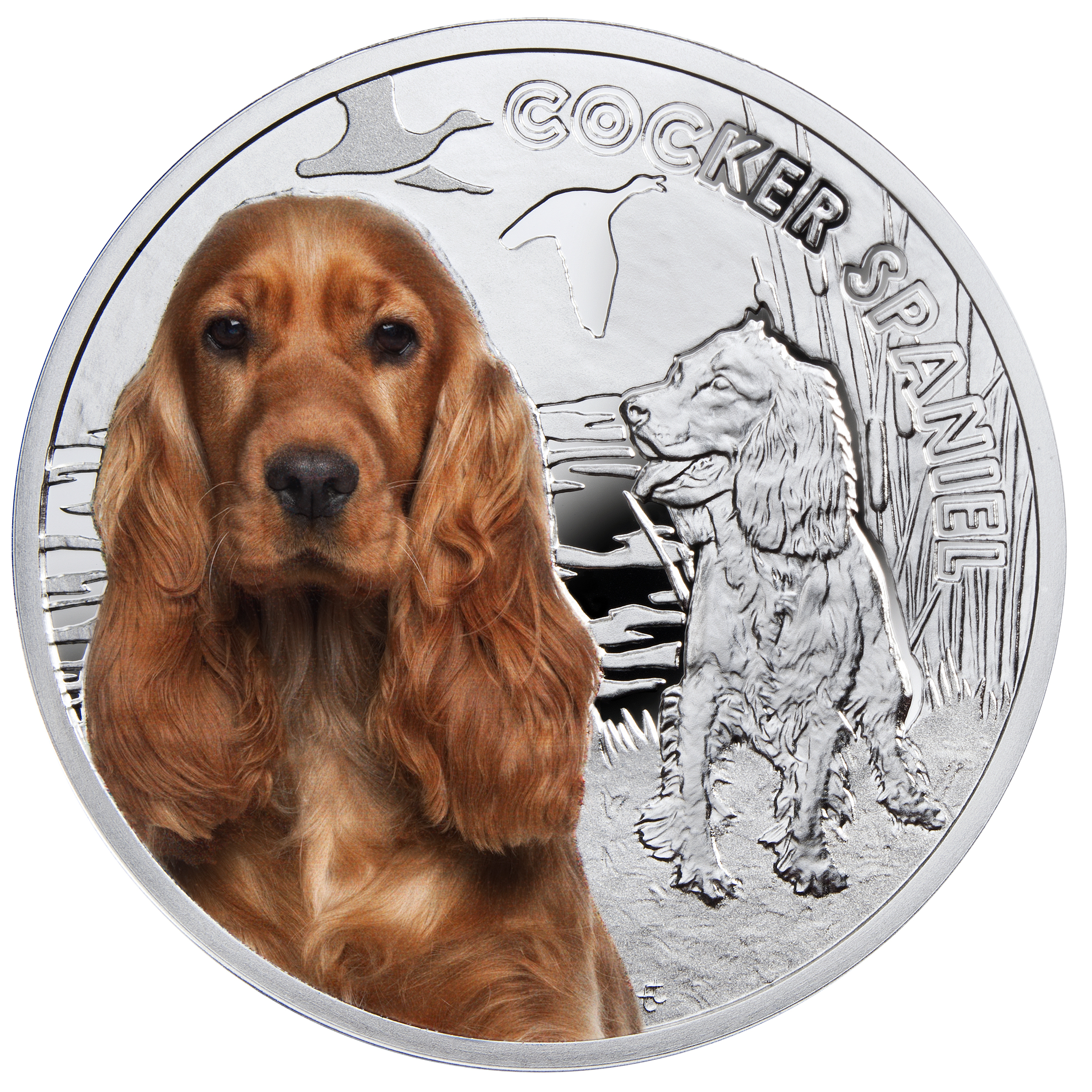 Bendog монета. Монета спаниель. Монеты собакам спаниель. Монета с цветной собакой. Серебряная монета собака.