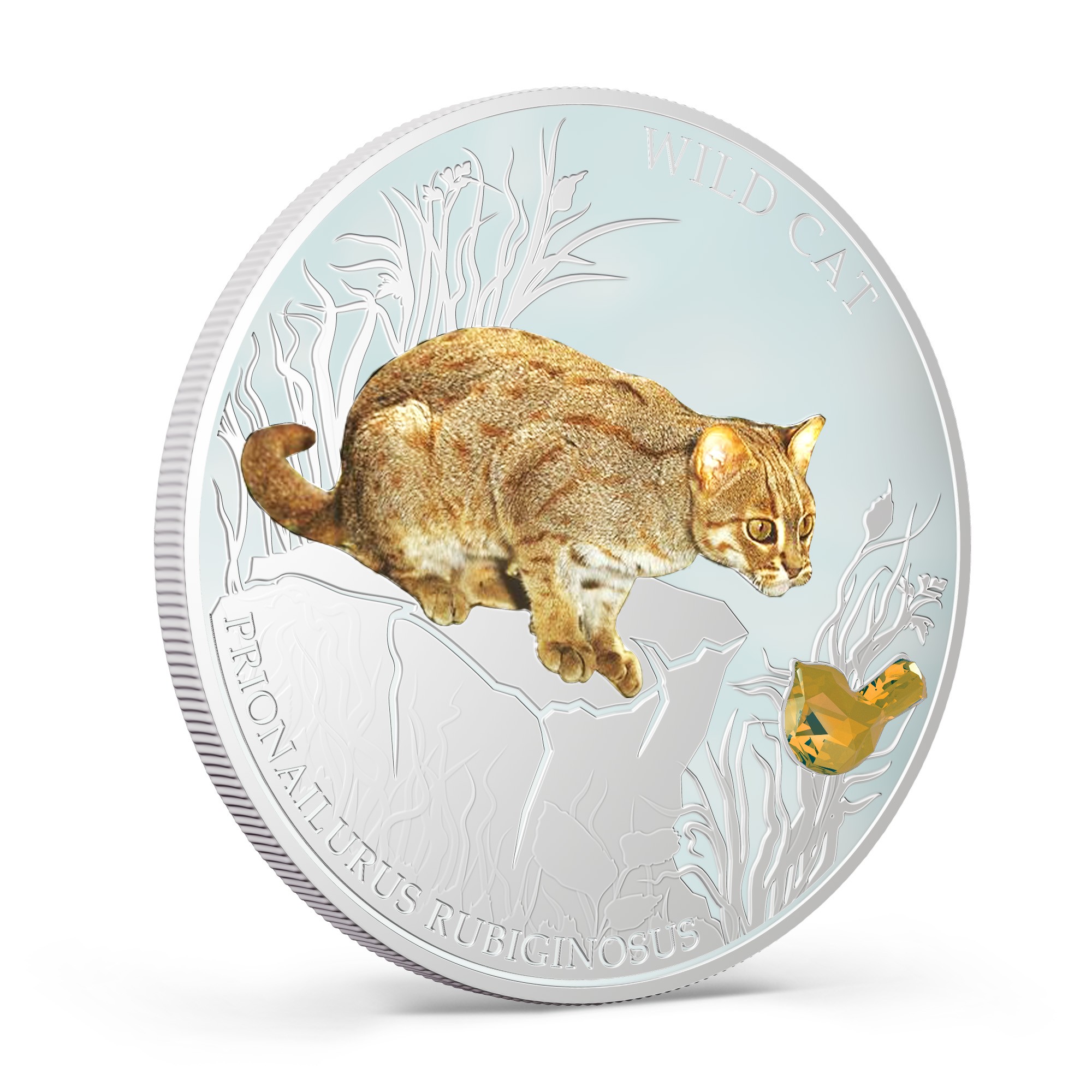 Fiji 2014 Dogs & Cats V Wild Cat Prionailurus Rubiginosus 1 Oz Silver Proof Coin
